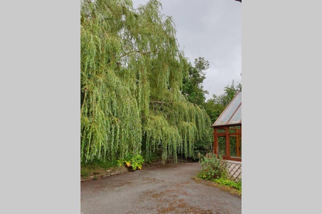 Willow Lodge Abergavenny ภายนอก รูปภาพ
