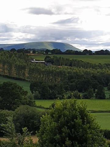 Willow Lodge Abergavenny ภายนอก รูปภาพ